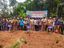 GERAKAN PENANAMAN PISANG CAVENDISH DUSUN SALARAN